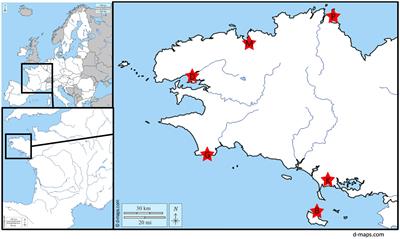 Looking into sewage: how far can metagenomics help to detect human enteric viruses?
